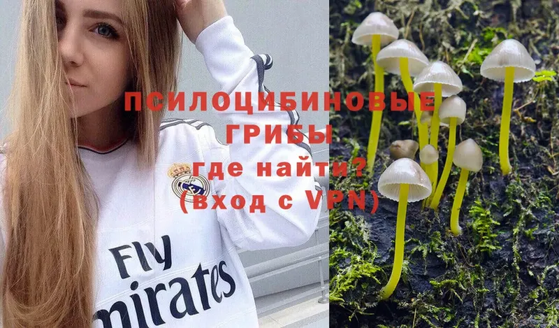 продажа наркотиков  Дагестанские Огни  Галлюциногенные грибы Psilocybe 